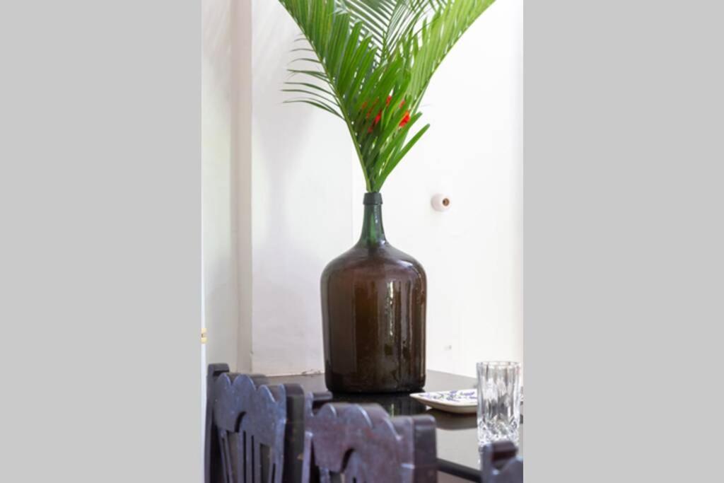 Villa Barbosa, 2 Bhk Villa & Luxury Rooms Near Colva, Sernabatim, Benaulim Beach מראה חיצוני תמונה
